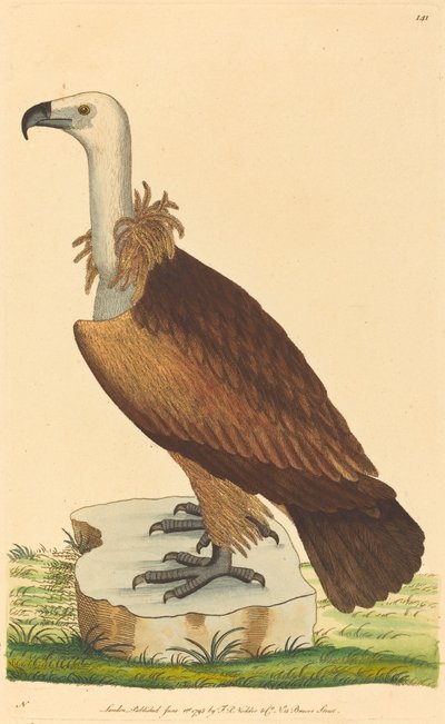 Sup alpský od British 18th Century