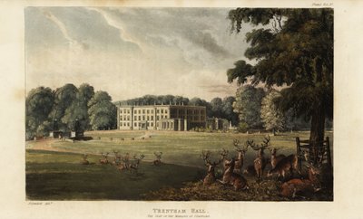 Stádo jelenů před Trentham Hall od British School
