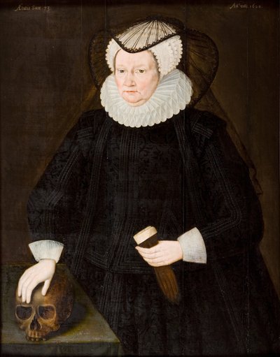 Paní Elizabeth Morganová (olej na desce) od British School