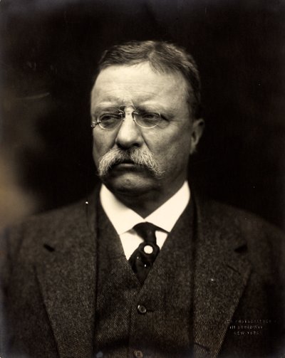 Theodore Roosevelt, kolem roku 1915 (černobílá fotografie) od Brothers Pach