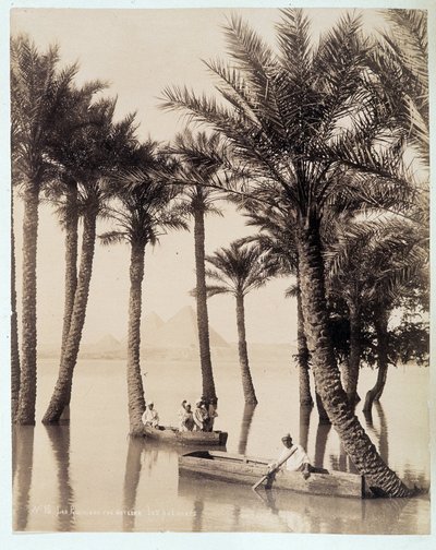 Palmový háj na úpatí egyptských pyramid - fotografie bratří Zangali, konec 19. století od Brothers Zangaki