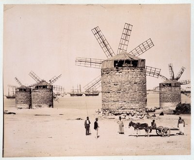 Moulins a Alexandria - fotografie bratří Zangali, konec 19. století od Brothers Zangaki