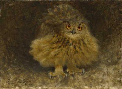 Výr velký, 1905 od Bruno Andreas Liljefors