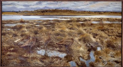 Curlews Ptáci v bažinách. Obraz Bruna Andrease Liljeforse (1860-1939) 1913 Ne. 1,19x2,2m od Bruno Andreas Liljefors
