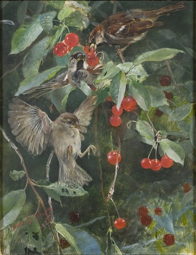 Vrabci v třešni, 1885 od Bruno Andreas Liljefors