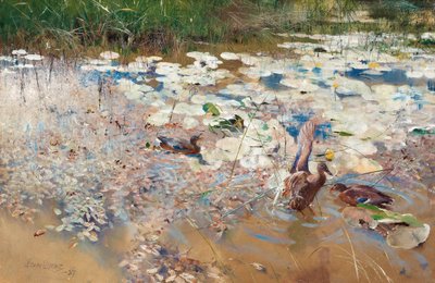 Divoké kachny, 1887. od Bruno Andreas Liljefors