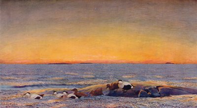 Východ slunce, 1896 od Bruno Andreas Liljefors