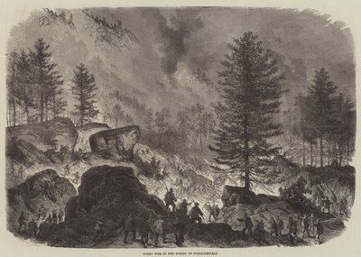 Velký požár v lese Fontainebleau od Burn Smeeton