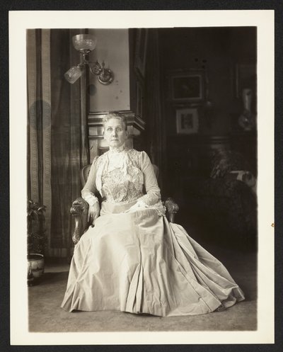 Paní John Arbuckle, kolem 1900-10 od Burr William McIntosh