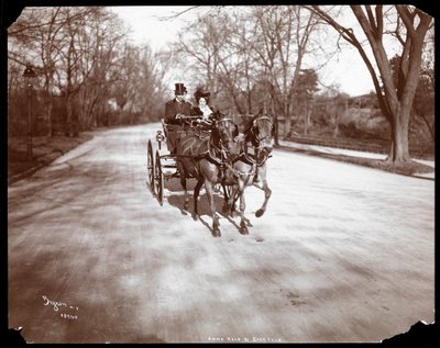 Anna Held a Florenz Ziegfeld řídí kočár tažený koňmi, New York, 1904 (stříbrný želatinový tisk) od Byron Company