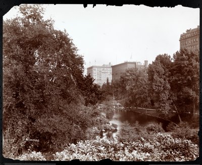 Central Park s výhledem na hotely Savoy a Plaza, 5. Avenue a 59. ulice, New York, cca 1896-98 (stříbrný želatinový tisk) od Byron Company
