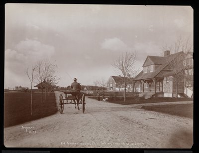 Celkový pohled na domy a budovy na panství F. G. Bournea v Oakdale, Long Island, New York, 1900 (stříbrný želatinový tisk) od Byron Company