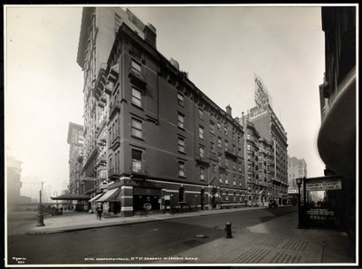 The Hotel Woodward, Broadway a 55th Street, New York, 1920 (stříbrný želatinový tisk) od Byron Company