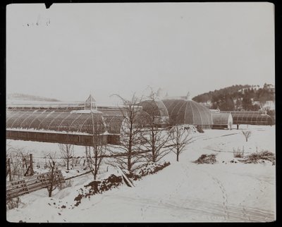 Skleníky ve sněhu v panství Helen Gould (pozdní rezidence Jay Gould) v Tarrytown, New York, 1894 (stříbrný želatinový tisk) od Byron Company