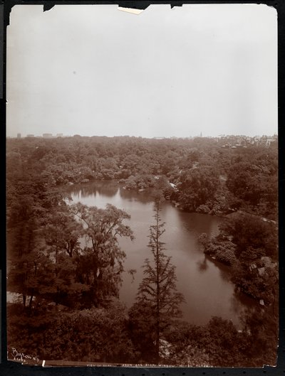 Pohled na Central Park ze 4. patra hotelu Plaza, 5. Avenue a 59. ulice, 1907 (potisk stříbrnou želatinou) od Byron Company