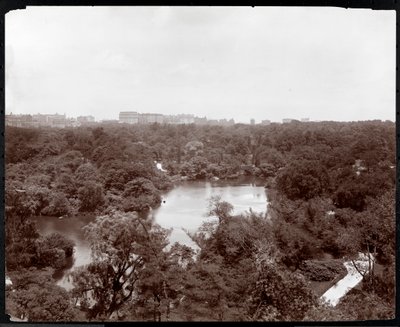 Pohled na Central Park z hotelu Plaza, 5th Avenue a 59th Street, New York, 1907 (stříbrný želatinový tisk) od Byron Company