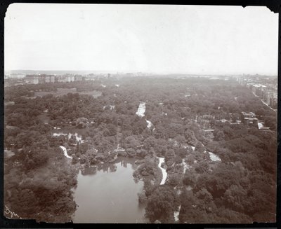 Pohled na Central Park z hotelu Plaza, 5th Avenue a 59th Street, New York, cca 1907 (stříbrný želatinový tisk) od Byron Company