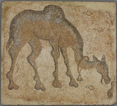 Fragment mozaiky s pasoucím se velbloudem od Byzantine