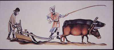 Středověcí muži orající voly, ze scény z Luttrellova žaltáře (barevné lito) od J.B. and Brown J. Rowbotham