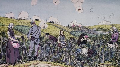 Naši vinaři sklízeli pod palbou, sklizeň v oblasti Champagne v roce 1914, 1. světová válka, Francie, 20. století od J.B. and Brown J. Rowbotham