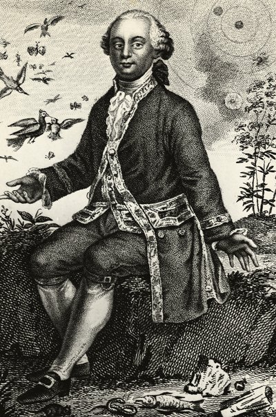 Portrét Georges-Louis Leclerc de Buffon (1707-1788), francouzský přírodovědec a matematik, rytina od J.B. and Brown J. Rowbotham