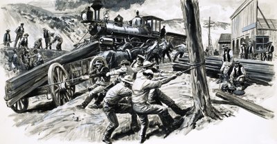 Železnice projíždějící státem Washington v roce 1873 od C.L. Doughty