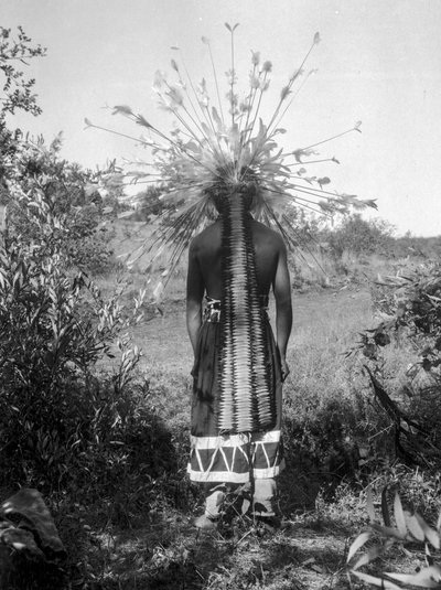 Původní obyvatelé Ameriky a kmenový obřadní dům a obřadní oděv, Kalifornie od C. Hart Merriam
