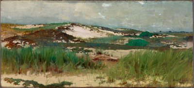 Nantucketská písečná duna od C. Morgan McIlhenney