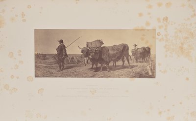 Návrat z práce, autor: R. Ansdell od Caldesi and Montecchi