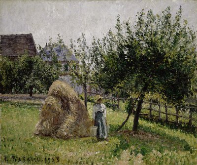 Jabloně v Eragny, slunečné ráno, 1903 od Camille Jacob Pissarro