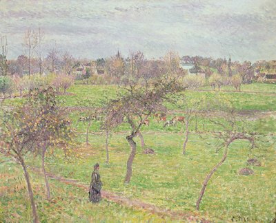Jabloně na louce v Eragny, 1894 od Camille Jacob Pissarro