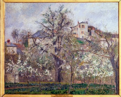 Jaro, švestkové květy v Pontoise - olej na plátně od Camille Jacob Pissarro