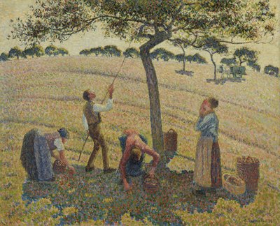 Sklizeň jablek od Camille Jacob Pissarro