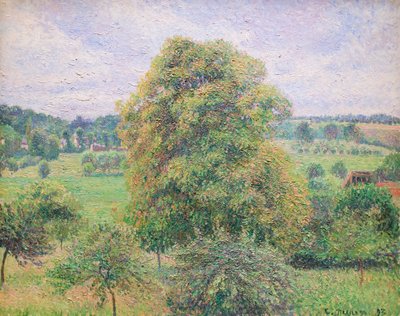 Velký ořech v Eragny od Camille Pissarro
