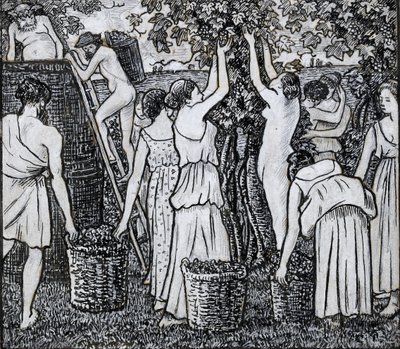 Sklizeň hroznů, kompoziční studie pro ilustraci k 