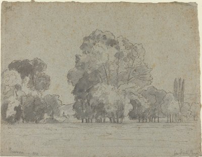 Háj stromů od Camille Pissarro