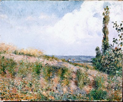 Krajina (olej na plátně) od Camille Jacob Pissarro