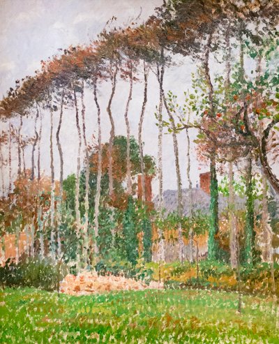 Krajina ve Varengeville, c. 1889 (olej na plátně) od Camille Pissarro