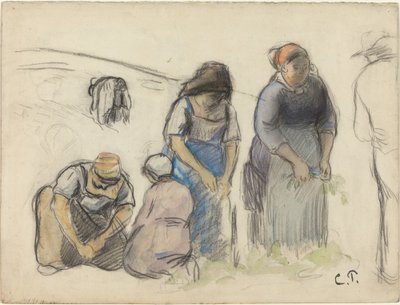 Sklízeče hrachu [recto], c. 1880. od Camille Pissarro