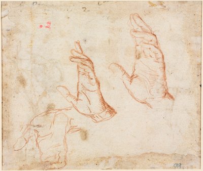 Studium rukou (verze) od Camillo Procaccini