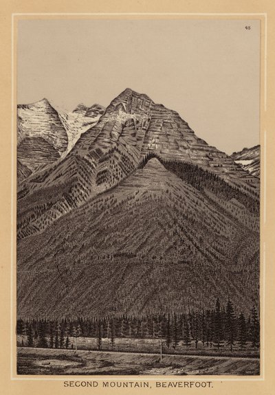 Kanada: Hora Second Mountain, Beaverfoot (litografie) od Canadian School