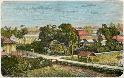 Tonga, c1885 od Canedi Barberis