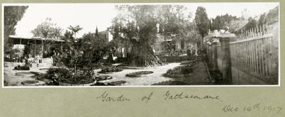 Getsemanská zahrada, 14. prosince 1917 od Capt. Arthur Rhodes