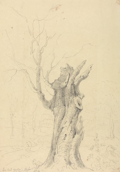 V parku lorda Yarborougha, Appuldurcombe, Isle of Wight od Capt. Thomas Hastings