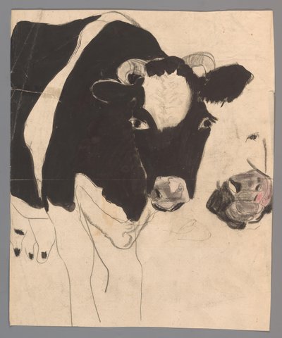 Vy od Carel Adolph Lion Cachet