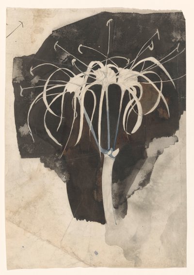 Studium zimolezu od Carel Adolph Lion Cachet