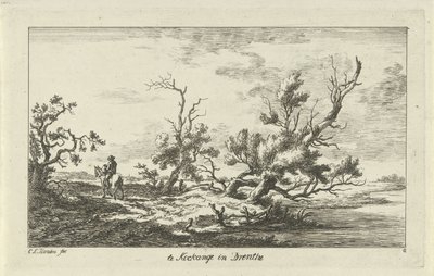 Jezdec v krajině Te Kockange in Drenthe (název na objektu) Krajiny (A-F) (název série) od Carel Lodewijk Hansen