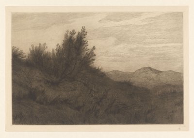 dunová krajina Les dunes at Zandvoort (původní název) od Carel Nicolaas Storm van 