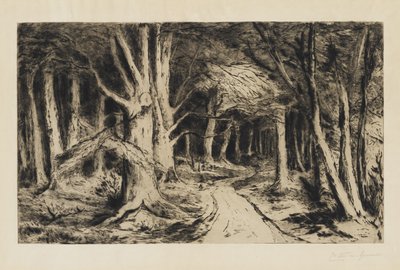 Lesní cesta, kolem roku 1885 od Carel Nicolaas Storm van s Gravesande