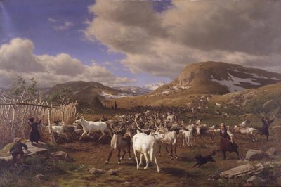 Stádo sobů je zahnáno na dojírnu. Motiv z vysokých hor severně od Røros od Carl Bøgh